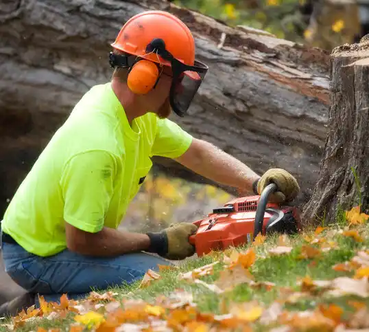 tree services El Dorado Springs